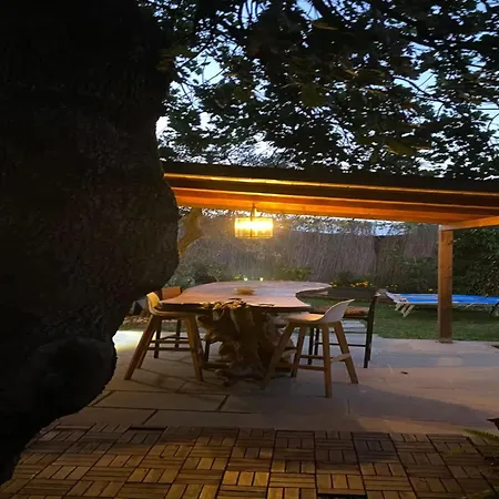 アパート Casa Fra Gli Ulivi - Chicca Blu