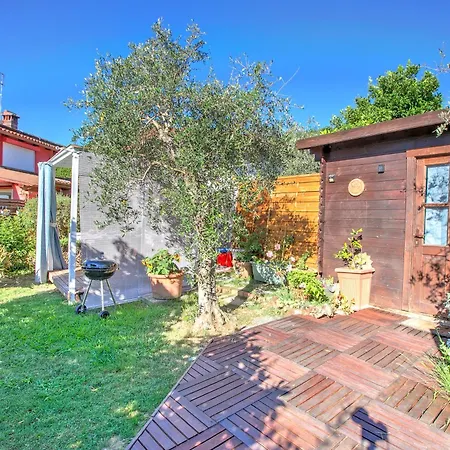 Casa Fra Gli Ulivi With Private Pool - Chicca * 阿梅利亚