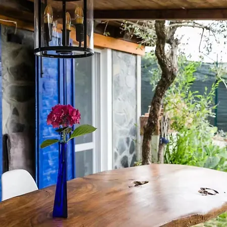 Casa Fra Gli Ulivi - Chicca Blu