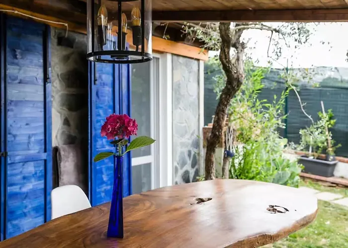 Xz - Casa Fra Gli Ulivi - Chicca Blu